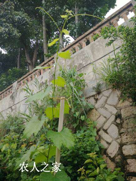 IMG20170717091449.jpg