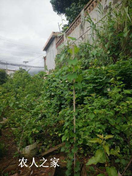 IMG20170717091459.jpg