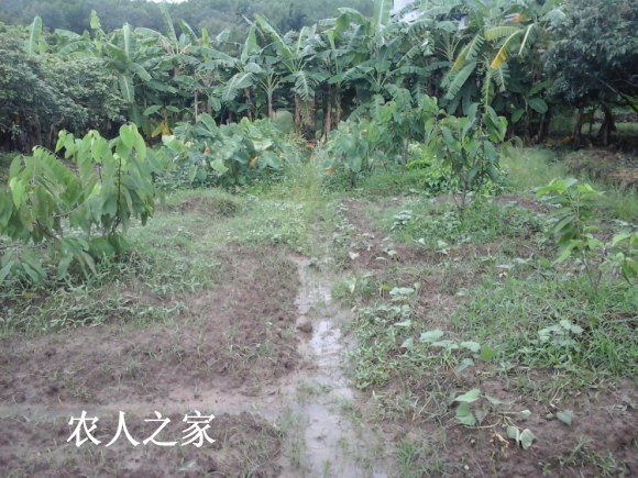 20170815_182201.jpg