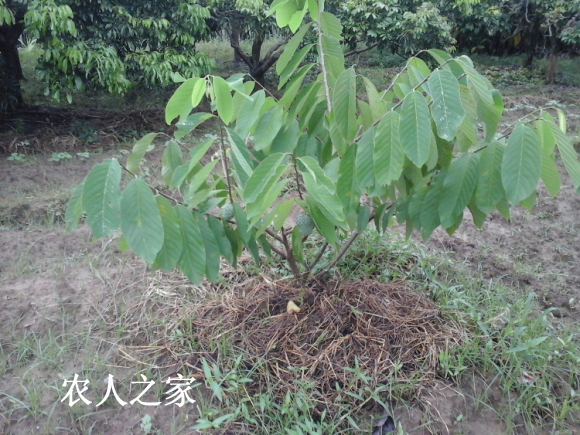 20170815_182144.jpg