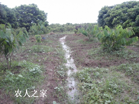 20170815_182122.jpg