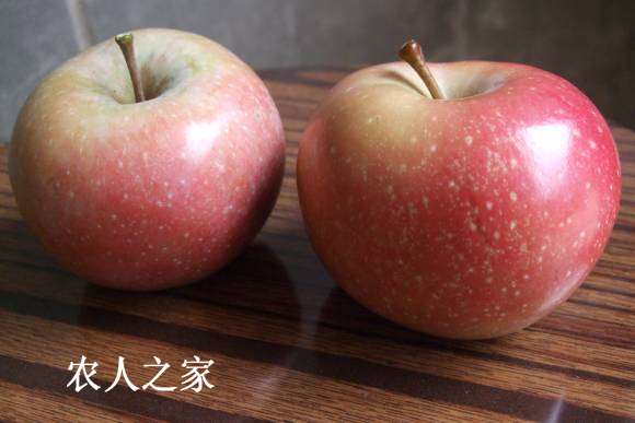 824˹ 009.jpg