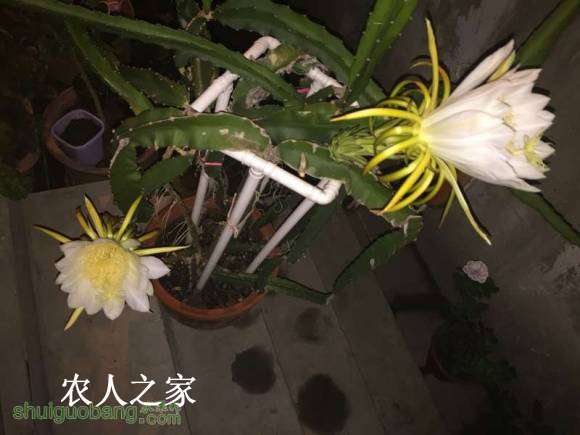 054504uganohnrrraaghmt.jpg