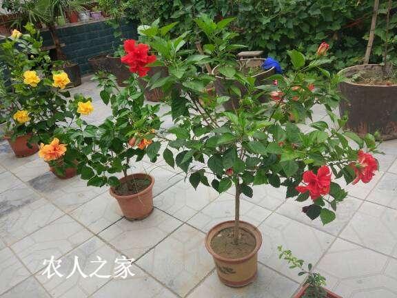 104035s2s2eyeytest9d9e.jpg