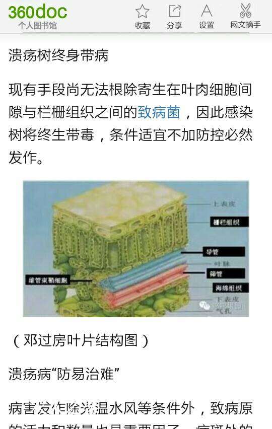 113459mq17d3fdfdqwgiga.jpg