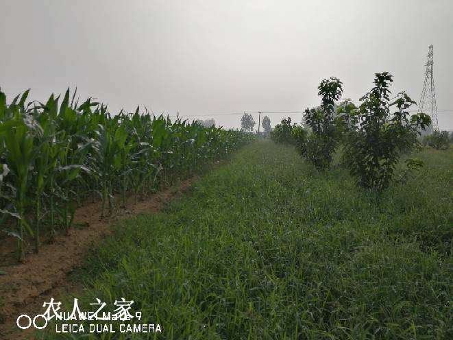 124420b4533zuo43992xv6.jpg