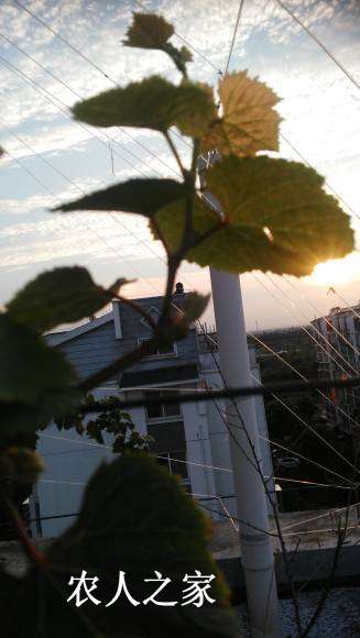 IMG_20170816_181538.jpg