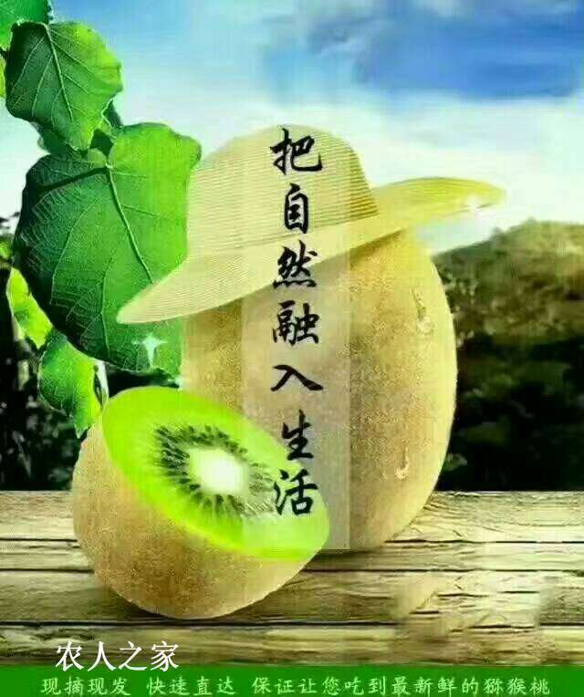 203438ihph3ff87oa6q6at.jpg