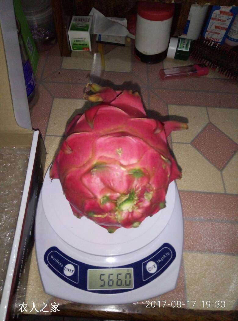 211832obvvyooy88dhwzyz.jpg