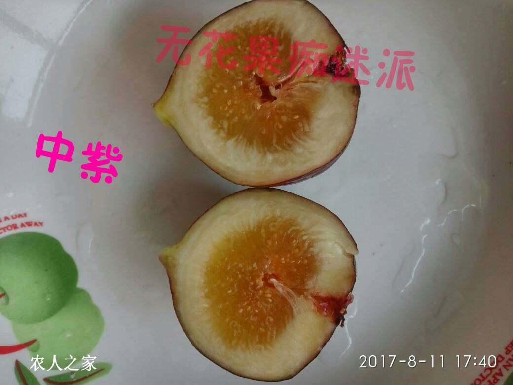 223742egtd2jgasoaa8sd0.jpg