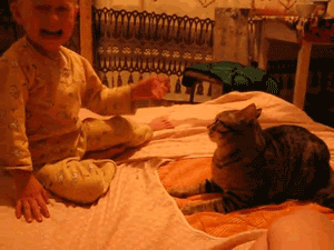 timg (26).gif