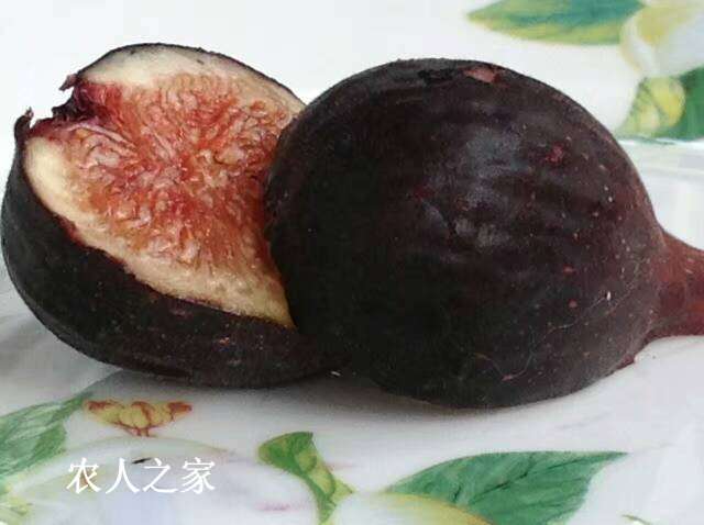 222136za202eqmv2neaa23.jpg