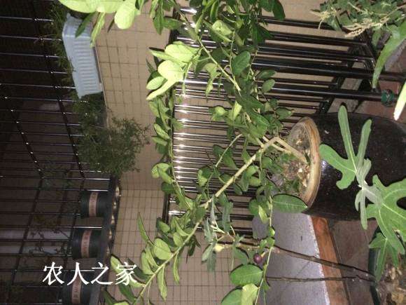 ΢ͼƬ_20170818220327.jpg