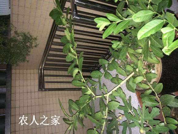 ΢ͼƬ_20170818220342.jpg