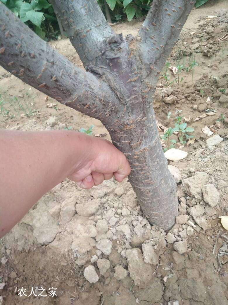 075313oxz5q7pe0q03assx.jpg