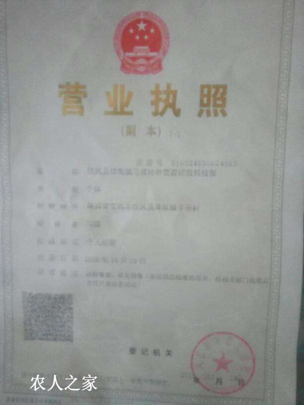 100856d499pq44zxbpzb66.jpg