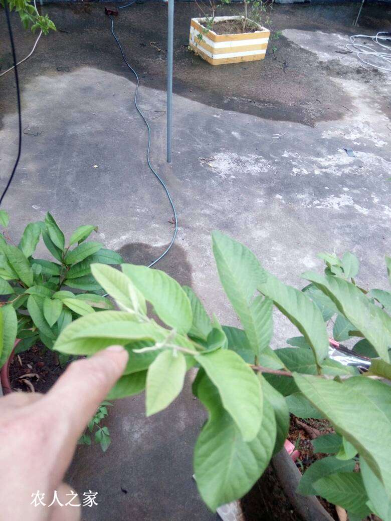 142135ylrbzbeobro4job5.jpg