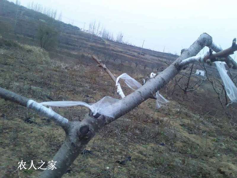 181658mxy11a11kkxfipyk.jpg