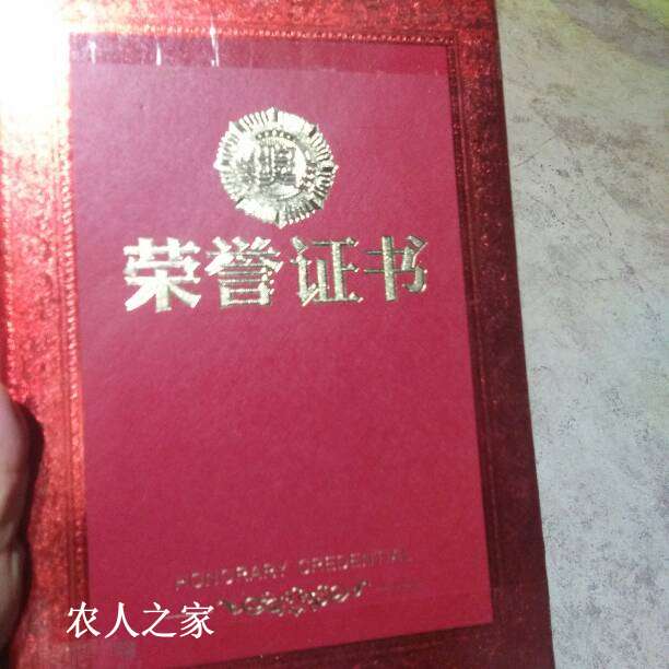 231856jynllylkyqrk09jy.jpg