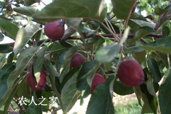 521պ찮Ƭ 018.jpg