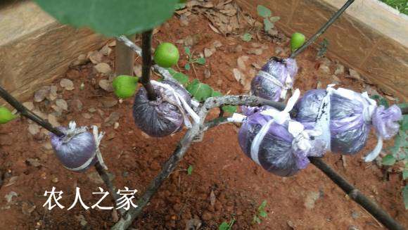 20170813_072409.jpg