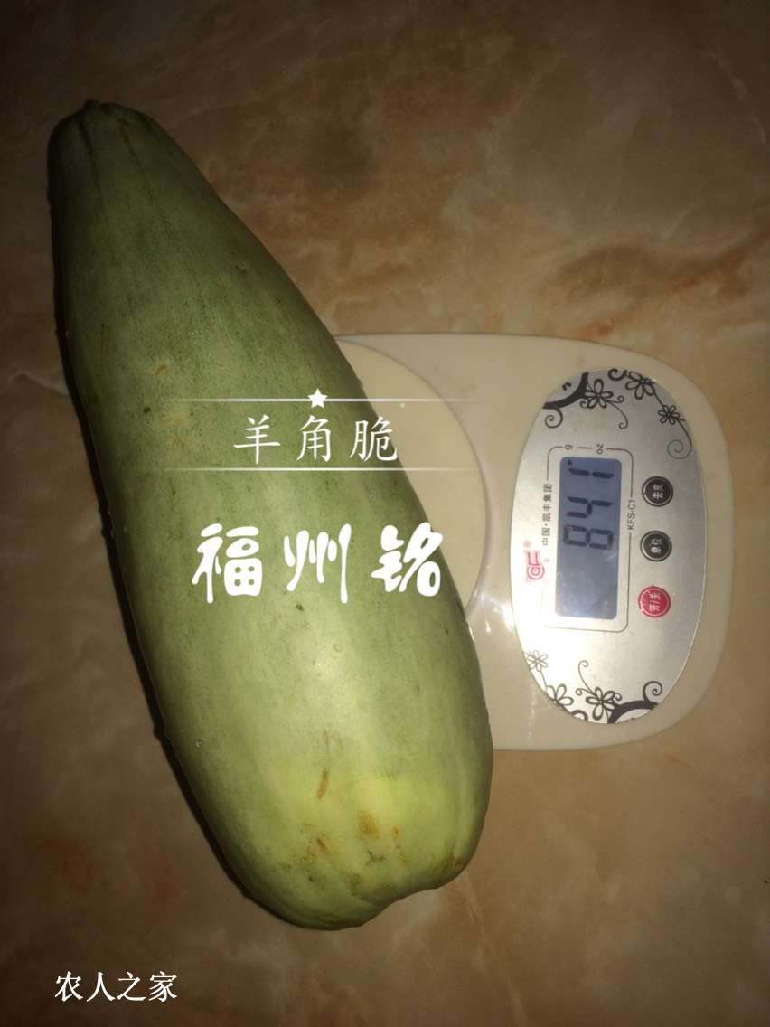 214850gl77vq13627lk5o1.jpg