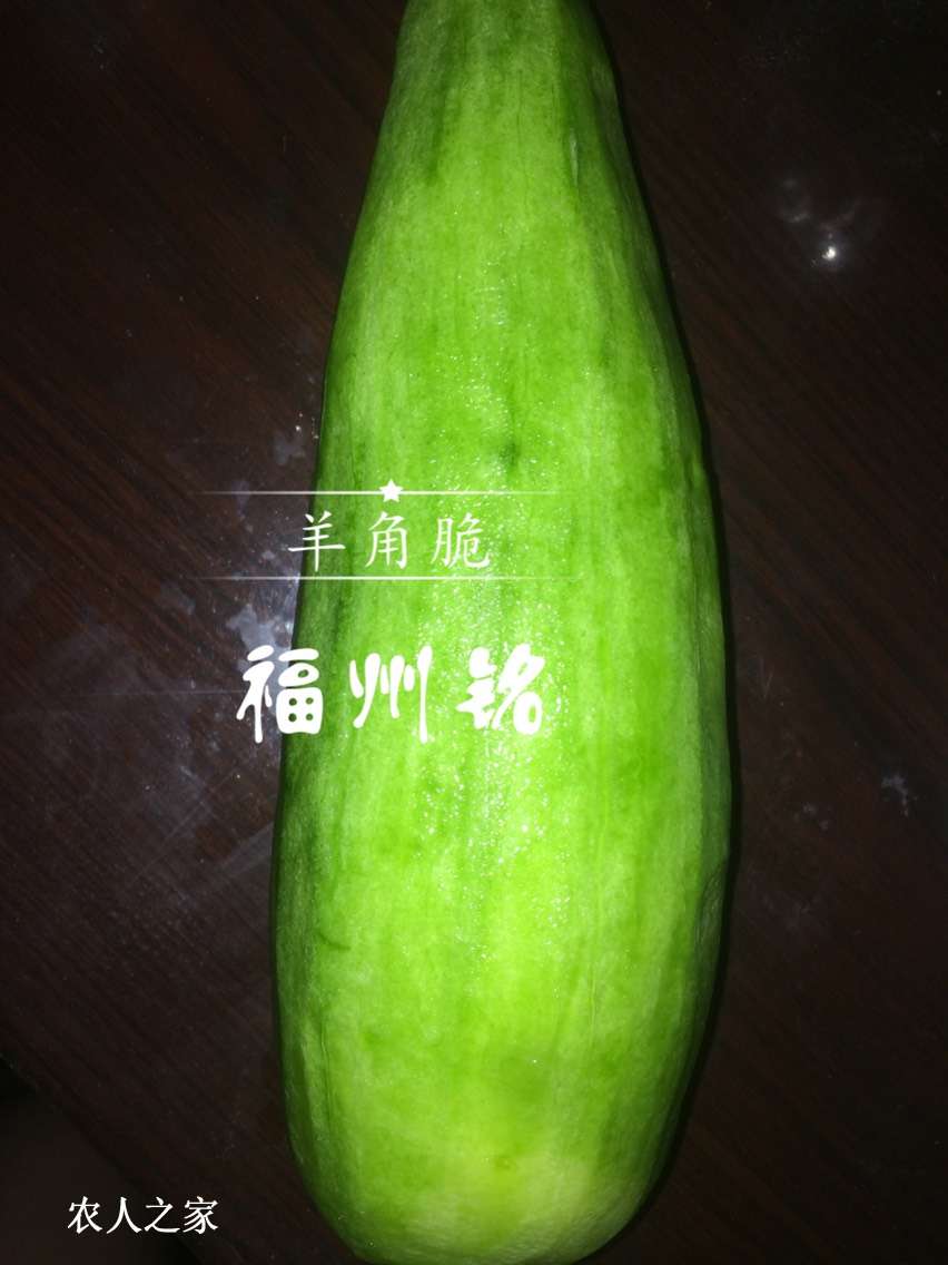 214851vu9mg604lslls6yi.jpg