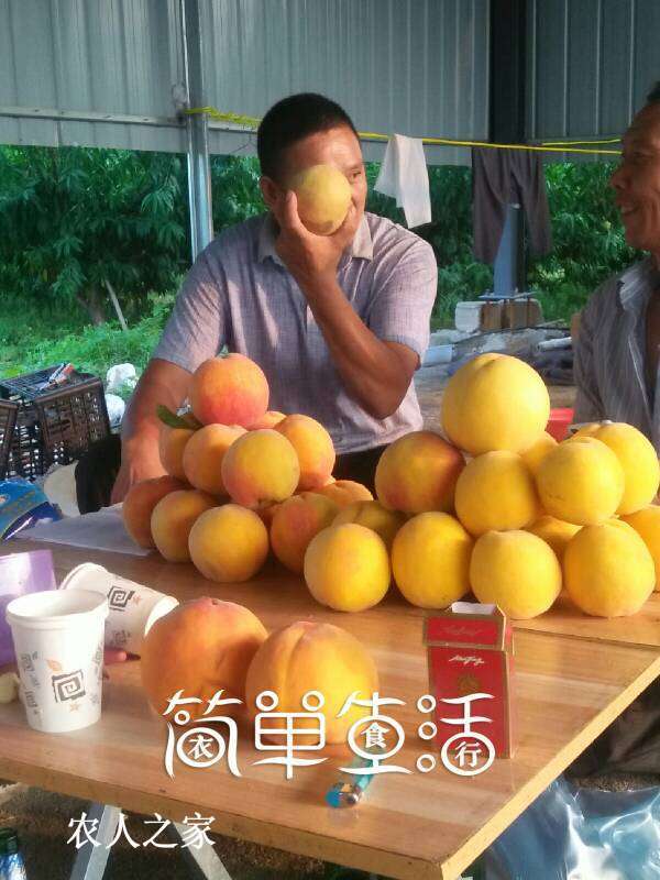 173858seubbemyaczce68a.jpg