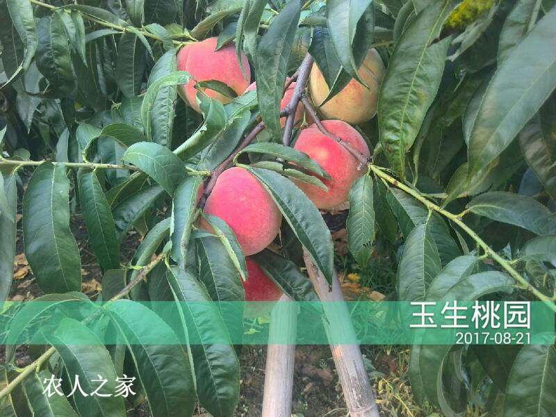 094429j43ook39430fi4j7.jpg