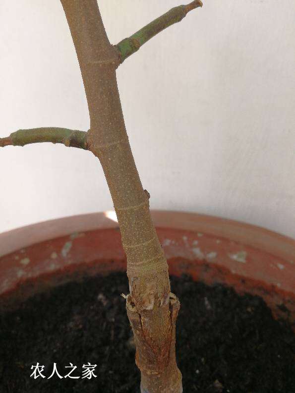 112334dvpdzcsz3zvrklj6.jpg