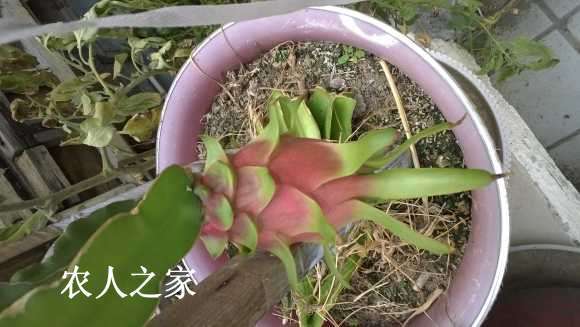 WP_20170822_001.jpg