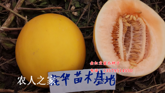 챦۹