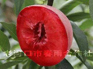 214714zgcvbhhcybd8dq18.jpg