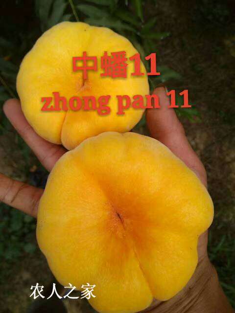 224924rg7ccoe8im8ce74x.jpg