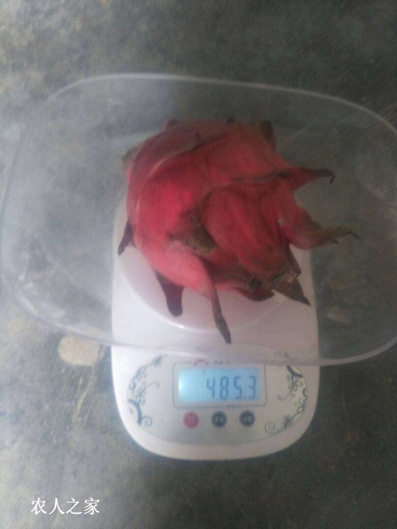 000558bzqjqqjugcvv14g9.jpg