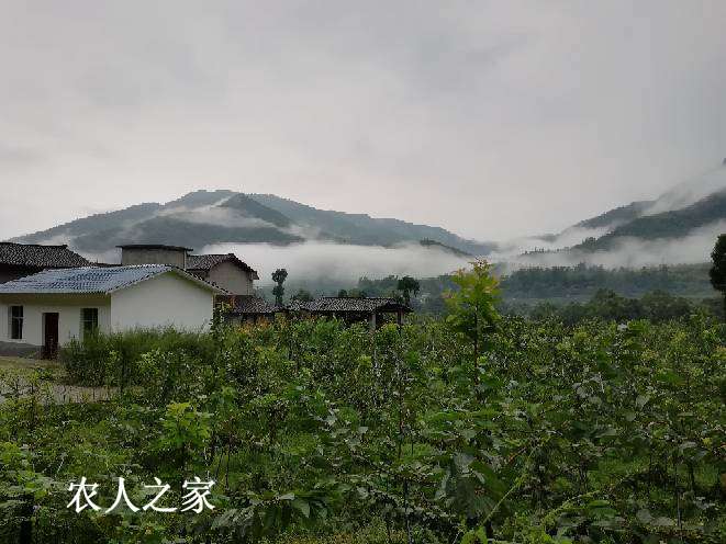 054758icbzc77s00ff0cfs.jpg