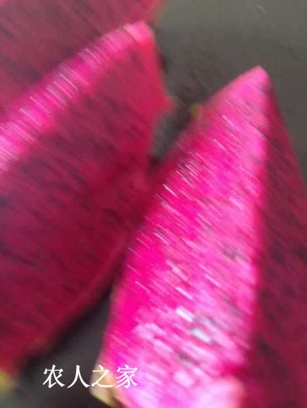 image.jpeg