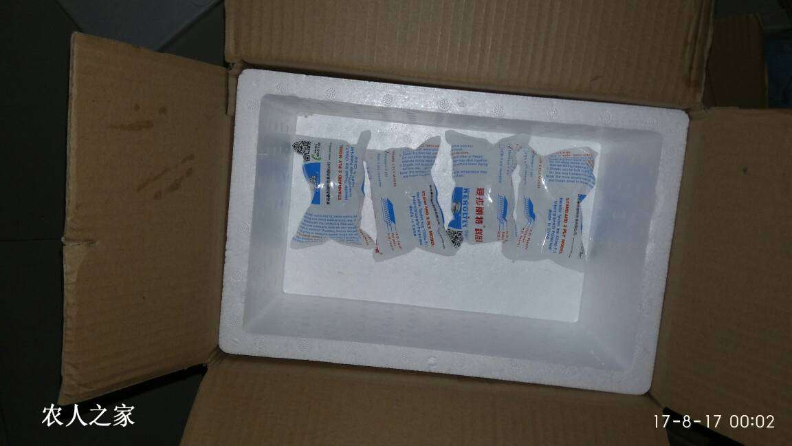 112805dtpwzdttm5dbp925.jpg