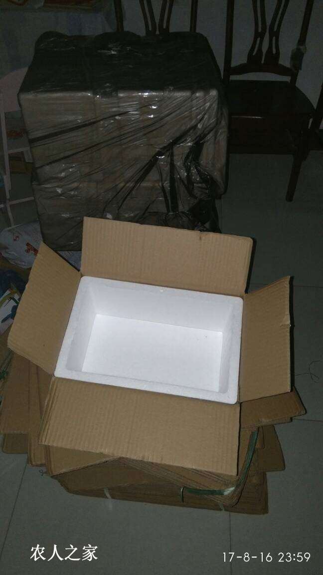 112805ho7lr2022bf03bff.jpg