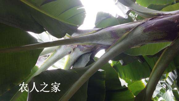 20170813_114527.jpg