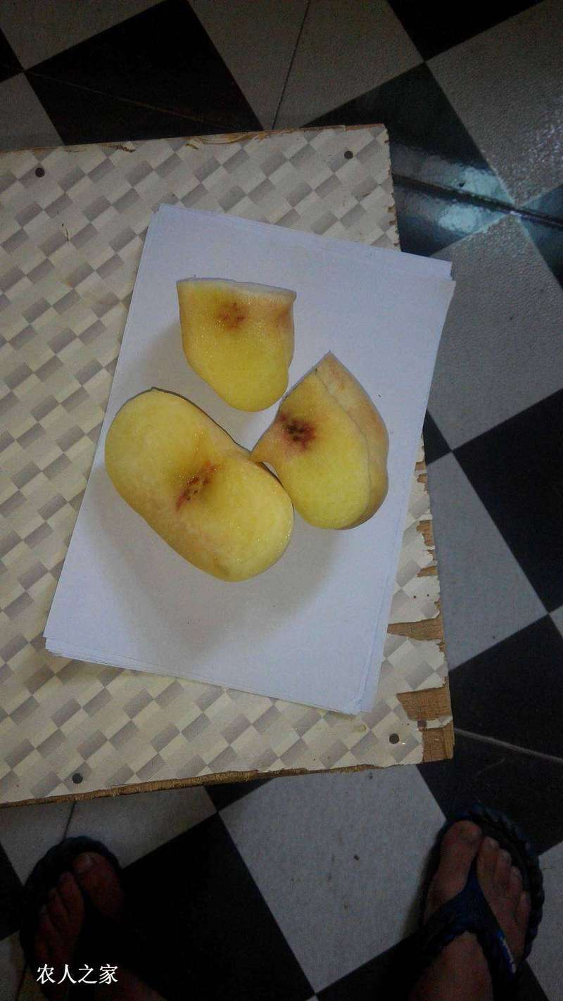 152952vrkpe177eppi0eee.jpg