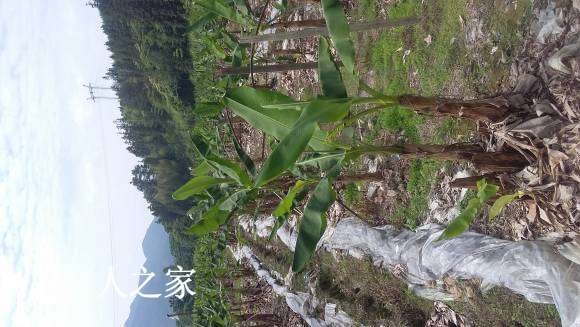 20170520_100506.jpg