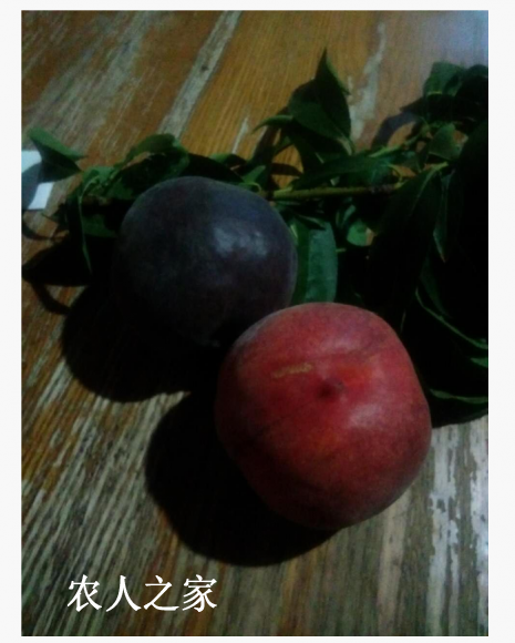 ��*O_20170824_071428.png