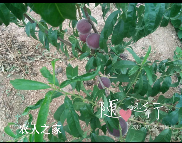 ��*O_20170824_071407.png