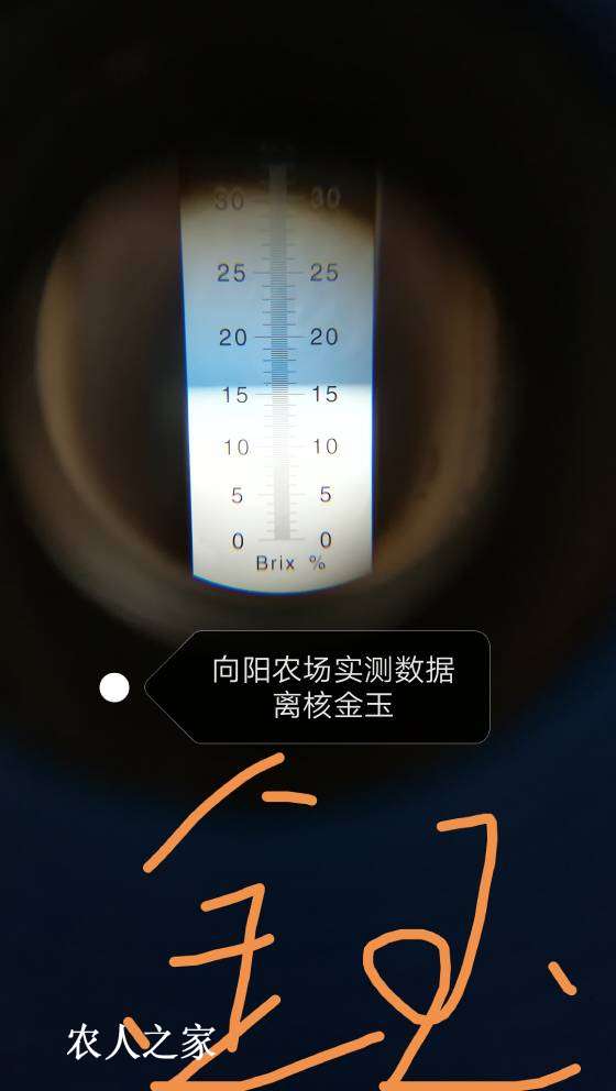 125107yx9u3zrp59p21l99.jpg