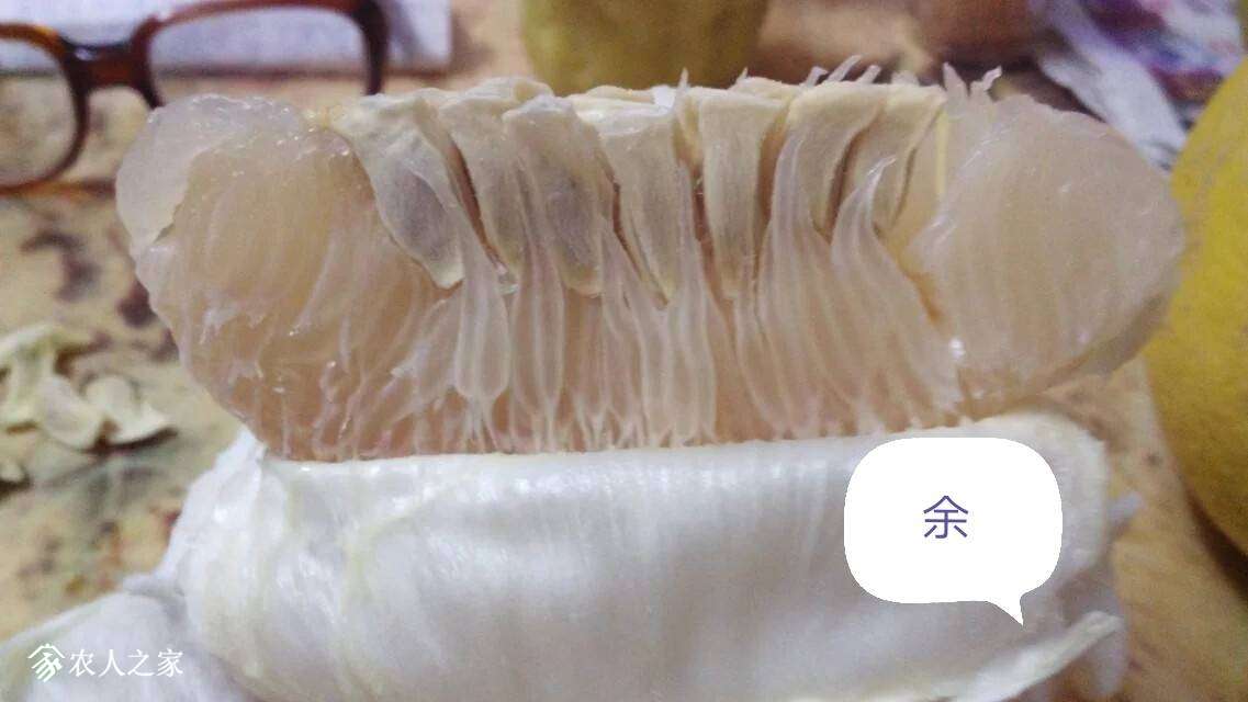123205a0q54q0iqyzpi85x.jpg