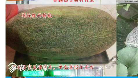 210836fqp3zeyd6smezyku.jpg