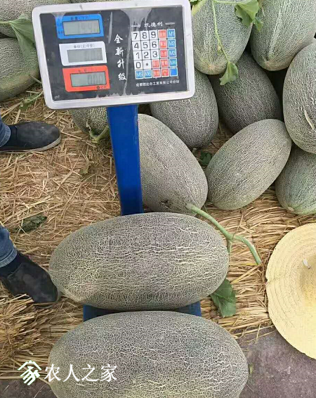 ӽƷ٤ʦ