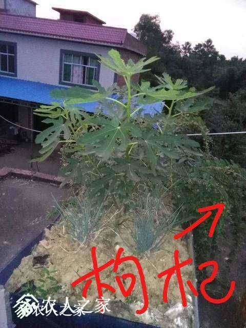 224310dxz3xjxoilqir36x.jpg