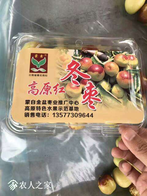225534jjjjbpjavy1jveve.jpg